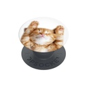 PopSockets držač za mobitel Snoozy Cat