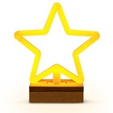 LED neonsko svjetlo Standing Star